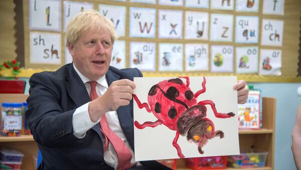  İngiltere Başbakanı Boris Johnson, ziyaret ettiği okulda öğrencilerle birlikte uğurböceği resmi çizdi. - Sputnik Türkiye
