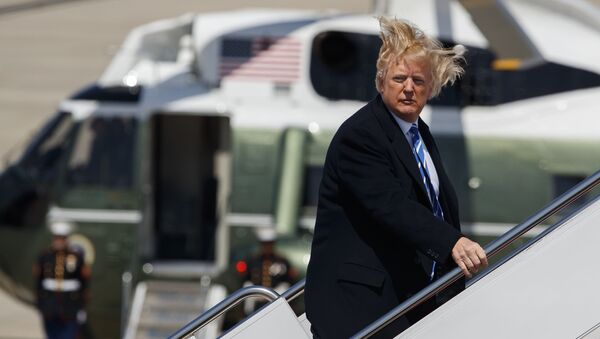 ABD Başkanı Donald Trump-saç - Sputnik Türkiye