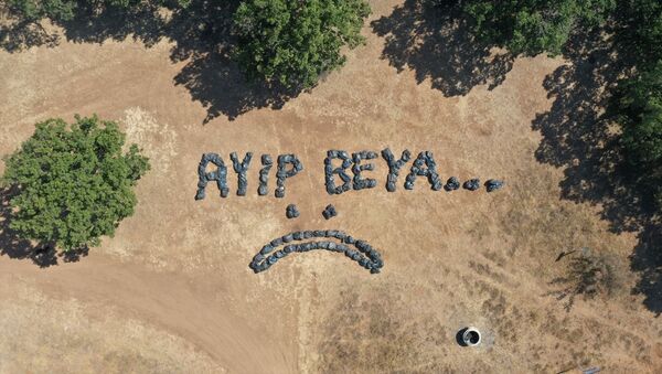 Piknik alanında 150 torba çöp toplayan Lüleburgaz Belediyesi: Ayıp beya - Sputnik Türkiye