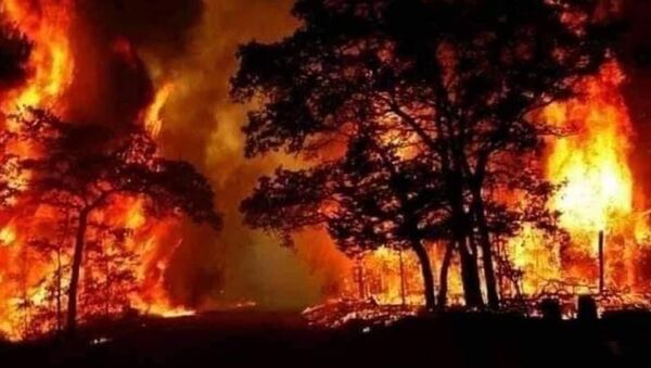 Suriye'nin Lazkiye kenti kırsalında çıkan orman yangınında ölü sayısı 3'e yükseldi. - Sputnik Türkiye