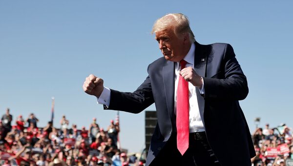 U.S. President Donald Trump gestures as he attends a campaign rally at Prescott Regional Airport in , Arizona, U.S., October 19, 2020. REUTERS/Carlos Barria - Sputnik Türkiye