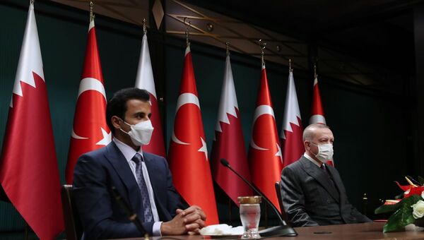 Türkiye Cumhurbaşkanı Recep Tayyip Erdoğan, Katar Emiri Şeyh Temim bin Hamed Al Sani - Sputnik Türkiye