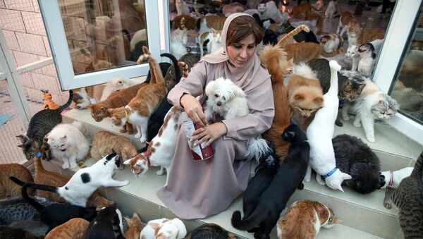 Yüzlerce kediyle yaşayan Ummanlı kadın - Sputnik Türkiye