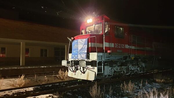 Türkiye'den Çin'e gidecek ilk blok ihracat treni Gürcistan'da - Sputnik Türkiye