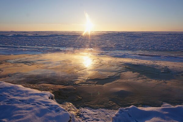 Alaska'daki buzullar eriyor - Sputnik Türkiye
