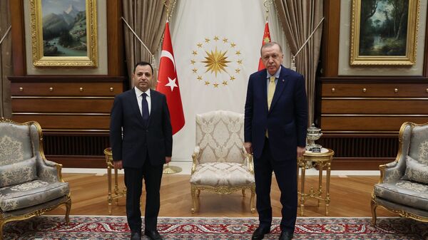 Cumhurbaşkanı Erdoğan, Anayasa Mahkemesi Başkanı Zühtü Arslan'ı kabul etti. - Sputnik Türkiye