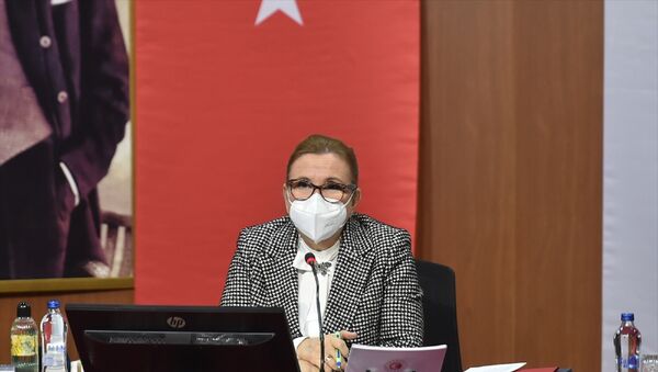 Ticaret Bakanı Ruhsar Pekcan - Sputnik Türkiye