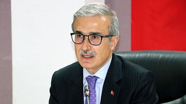 Savunma Sanayii Başkanı İsmail Demir - Sputnik Türkiye