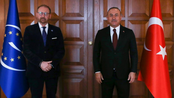 Dışişleri Bakanı Mevlüt Çavuşoğlu, Avrupa Konseyi Parlamenter Meclisi (AKPM) Başkanı Rik Daems - Sputnik Türkiye
