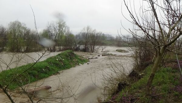Bursa’da sağanak yağış: Dereler taştı, tarım arazileri sular altında kaldı - Sputnik Türkiye