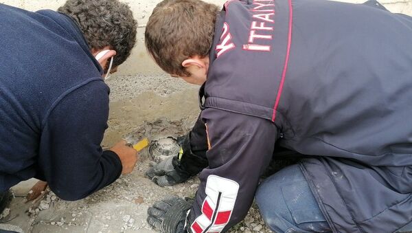 Su tahliye borusuna sıkışan kaplumbağa 1 saatte kurtarıldı - Sputnik Türkiye