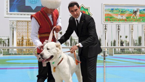 Aynı zamanda Türkmenistan Devlet Başkanı Gurbanguli Berdimuhammedov'un oğlu olan Başbakan Serdar Berdimuhammedov, Alabay Ulusal Günü'nde güzellik yarışmasını kazanan köpeğe madalya takarken - Sputnik Türkiye