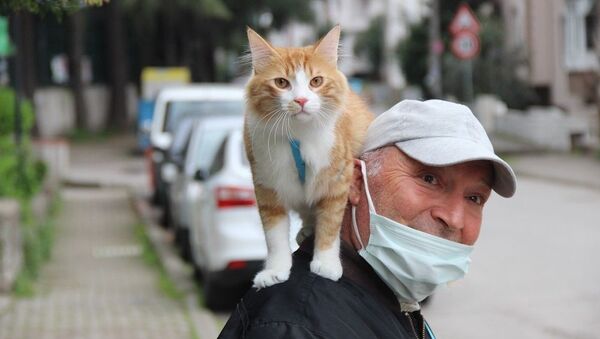 Metin Gül, gittiği her yere kedisini de omzuna alarak gidiyor - Sputnik Türkiye