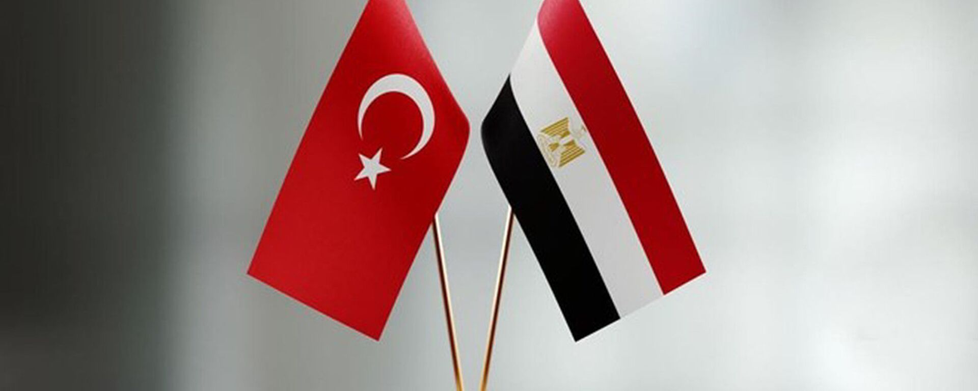 Türkiye ve Mısır bayrakları - Sputnik Türkiye, 1920, 15.04.2023