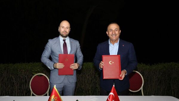 Dışişleri Bakanı Çavuşoğlu, Arnavutluk, Karadağ ve Bosna Hersek Dışişleri Bakanlarıyla görüştü - Sputnik Türkiye