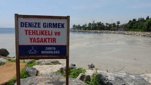 Darıca'da denize girmek yasaklandı - Sputnik Türkiye