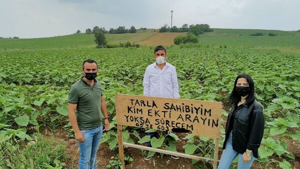 Bursa'da bir çiftçinin tarlasına kendisinden habersiz ayçiçeği ekildi: 'Başka ülkede yaşayamam' - Sputnik Türkiye
