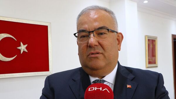 Prof. Dr. Mustafa Gerek - Sputnik Türkiye