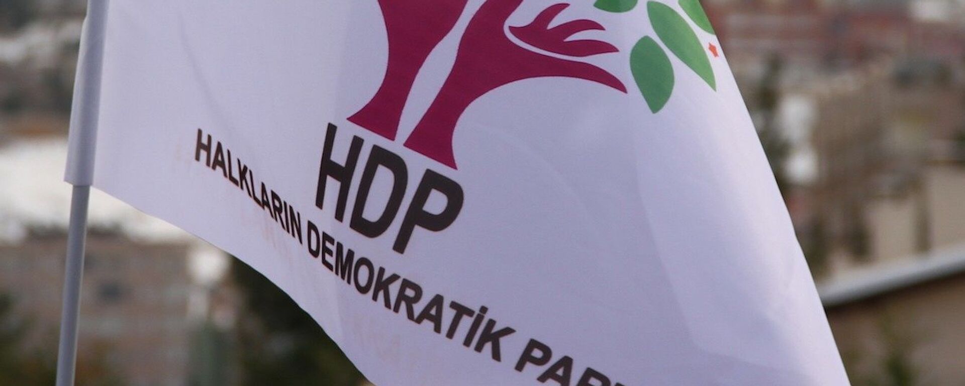 HDP - bayrak - logo - Sputnik Türkiye, 1920, 04.11.2021
