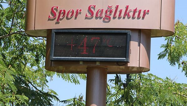 Adana’da termometreler 47 dereceyi gösterdi - Sputnik Türkiye