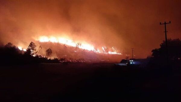 Antalya'nın Akseki ilçesinde orman yangını çıktı - Sputnik Türkiye