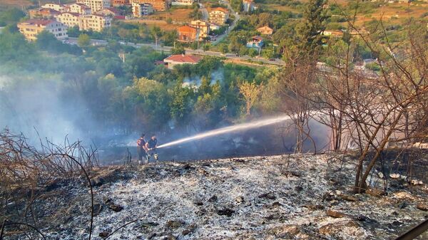 Kocaeli'nde ağaçlı alanda yangın - Sputnik Türkiye