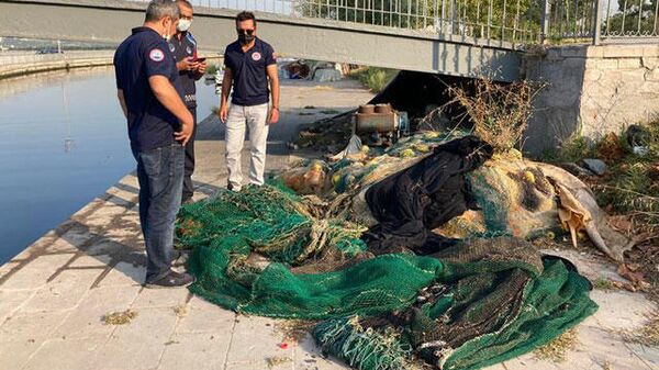 İstanbul'da kaçak yollarla avlanan yarım ton midye denize bırakıldı - Sputnik Türkiye