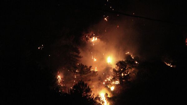 Marmaris Cennet Adası zirvesinde akşam saatlerinde başlayan yıldırım düşmesi kaynaklı orman yangını devam ediyor. - Sputnik Türkiye