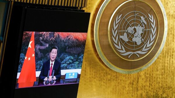Çin Devlet Başkanı Şi Cinping - BM Genel Kurulu - Sputnik Türkiye