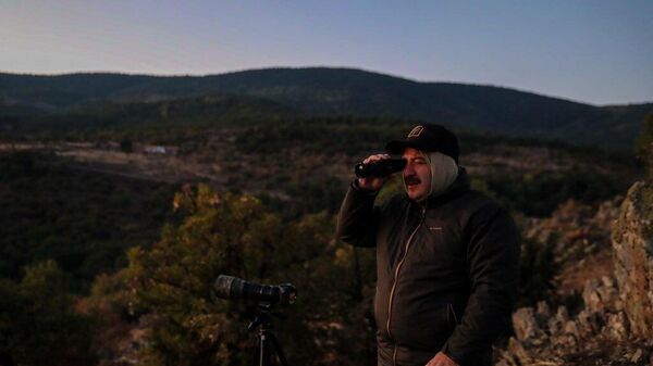 Bakan Varank vahşi yaşam fotoğrafçısı Doğanay Vural ile kızıl geyikleri gözlemledi - Sputnik Türkiye