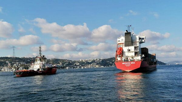 İstanbul Boğazı'nda sürüklenen gemi kıyıya metreler kala durdu - Sputnik Türkiye