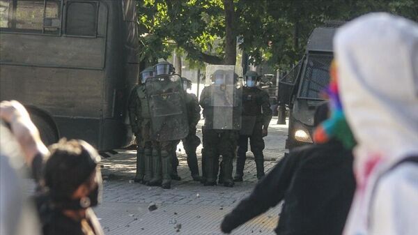 Şili’de arıcıların protestosuna müdahale eden polisleri arı soktu  - Sputnik Türkiye