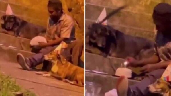 Kolombiya’da evsiz bir adamın yanındaki iki köpekle yaptığı doğum günü kutlaması sosyal medyanın gündemine otururken, izleyenleri duygulandırdı. - Sputnik Türkiye