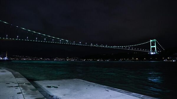 FSM Köprüsü rahim ağzı kanserine dikkat çekmek için ışıklandırıldı - Sputnik Türkiye