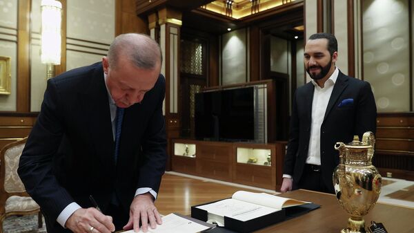 Erdoğan, El Salvador Cumhurbaşkanı Bukele'ye kitabını hediye etti - Sputnik Türkiye