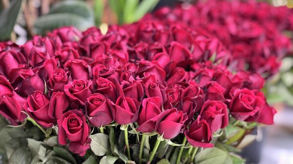 Çiçekçiler: Sevgililer Günü'nde en ucuz gülü 30 TL'den satacağız - Sputnik Türkiye