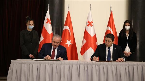 Türkiye ile Gürcistan parlamentoları arasında iş birliği protokolü imzalandı - Sputnik Türkiye