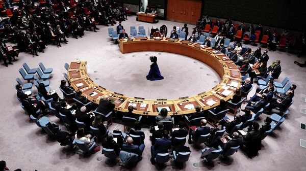 Birleşmiş Milletler Güvenlik Konseyi'nin (BMGK) Ukrayna oylaması - Sputnik Türkiye