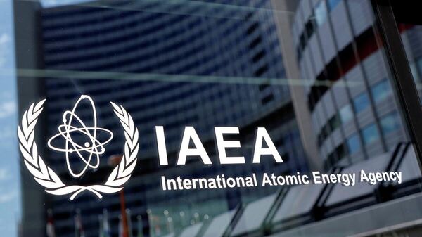 Uluslararası Atom Enerjisi Kurumu (IAEA) - Sputnik Türkiye
