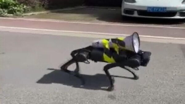 Çin'de sokaklarda dolaşan robot köpek - Sputnik Türkiye