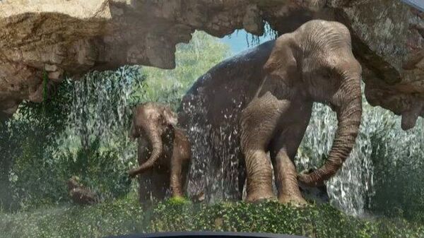 Çin'de fillerin 3 boyutlu görüntüleri dev ekrana yansıtıldı  - Sputnik Türkiye