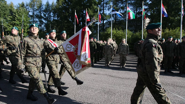 Polonya ordusu - NATO - Sputnik Türkiye