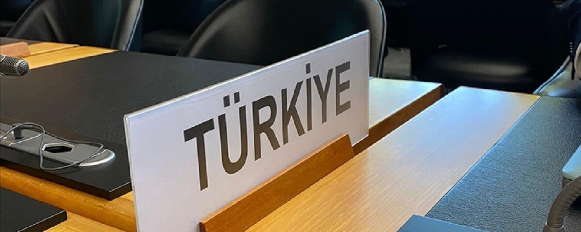 Birleşmiş Milletler'in (BM) yabancı dillerde 'Turkey' olarak kullanılan ülke adını 'Türkiye' olarak değiştirmesinin ardından İsviçre'nin Cenevre kentindeki Dünya Ticaret Örgütü'nde (DTÖ) ülke ismi ilk kez 'Türkiye' şeklinde kullanıldı. - Sputnik Türkiye, 1920, 04.06.2022