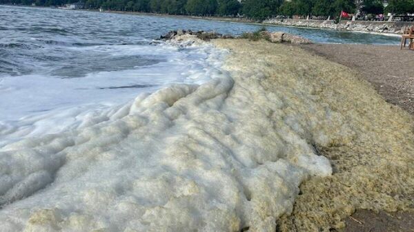 İznik Gölü’nde yaşanan siyanobakteri artışı nedeniyle göle girmek geçici olarak yasaklandı. - Sputnik Türkiye