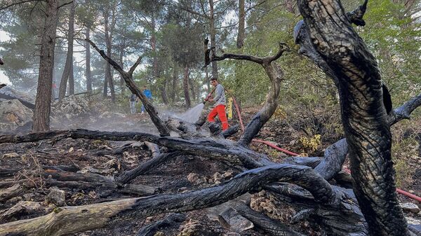 Antalya'nın Akseki ilçesinde yıldırım düşmesi sonucu çıktığı değerlendirilen orman yangını kontrol altına alındı. - Sputnik Türkiye