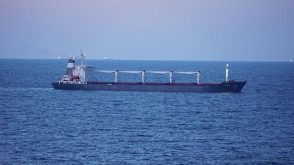 Ukrayna’nın Odessa Limanı’ndan hareket eden mısır yüklü RAZONİ kuru yük gemisi  - Sputnik Türkiye