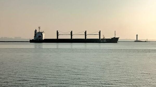 Mısır yüklü ikinci gemi de Odesa'dan yola çıktı - gemi
 - Sputnik Türkiye