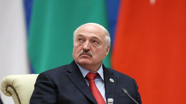 Belarus Devlet Başkanı Aleksandr Lukaşenko, - Sputnik Türkiye