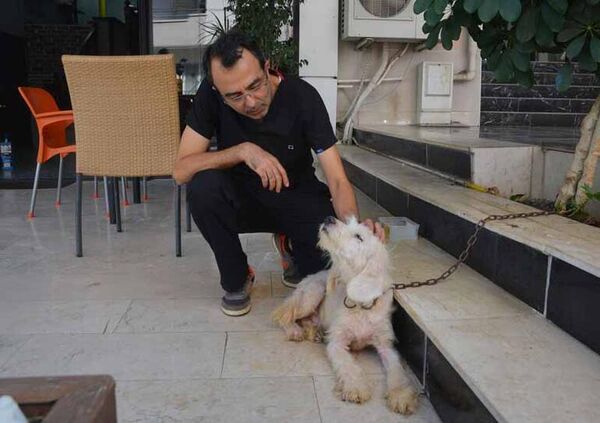 Köpek, aynı mahalledeki veteriner hekim Ahmet Serdar Yazan&#x27;ın kliniğine gitti. Yazan, bitkin gördüğü köpeği tedaviye aldı. - Sputnik Türkiye