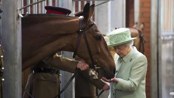 İngiltere Kralı 3. Charles, Kraliçe 2. Elizabeth’in yarış atlarının bir kısmını satıyor. - Sputnik Türkiye